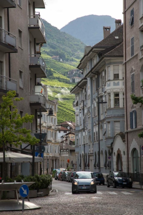 Through the Tirolean lookingglass of Bolzano's alleyways you'll find Schiava vines ... lots and lots of Schiava vines. ©Kevin Day/Opening a Bottle