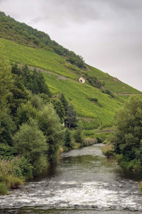 A view of the vineyard from near the town of Thann shows the River Thur's proximity to the vines — an essential ingredient in the development of botrytis. ©Adobe Stock Photo