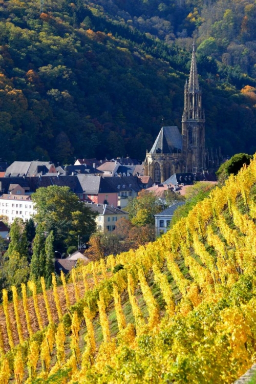 A view over the Rangen toward the village of Thann and La Collégiale Saint Thiébaut. ©Patricia Didierjean/Conseil Vins Alsace