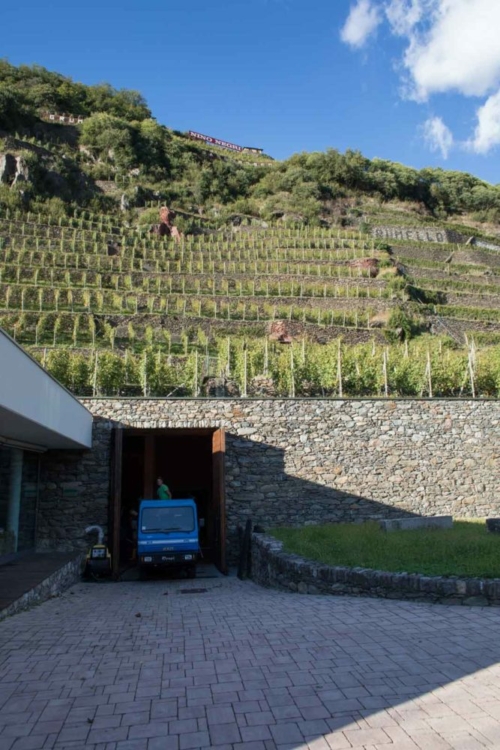 Part of ARPEPE's Grumello holdings can be seen directly above the winery, which burrows into the mountain side. Just a wee bit steep. ©Kevin Day/Opening a Bottle