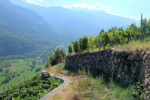 A path through the beautiful Valgella subzone of Valtellina. ©Tenuta Scersce