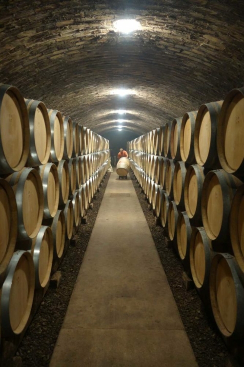 The cellar at Domaine Tollot-Beaut in Chorey-les-Beaune. ©Domaine Tollot-Beaut The cellar at Domaine Tollot-Beaut in Chorey-les-Beaune. ©Domaine Tollot-Beaut