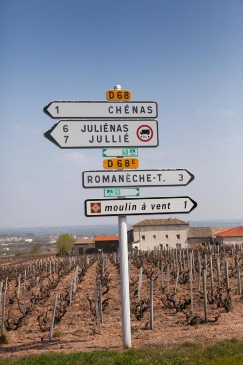 Which way to which Cru? Traveling around Beaujolais. ©Kevin Day/Opening a Bottle