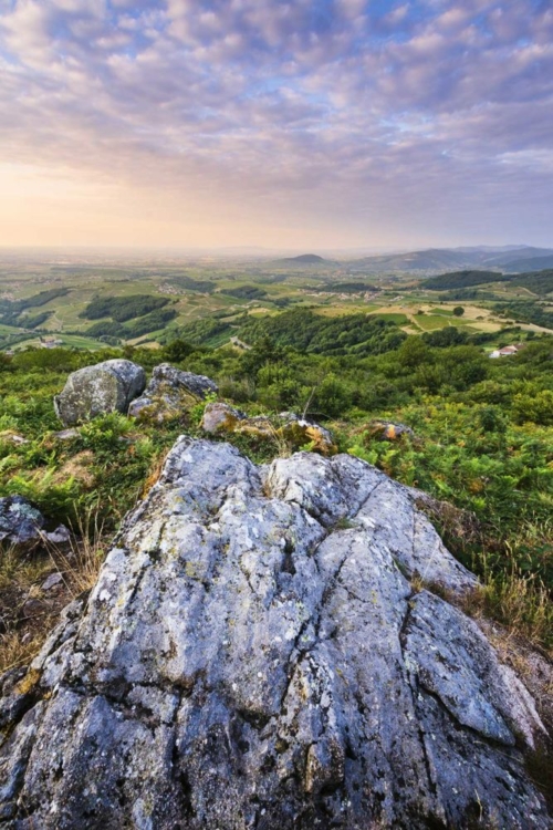 A granite boulder emerges from the hills of Beaujolais. Granite plays a key role in the terroir of Beaujolais wines.