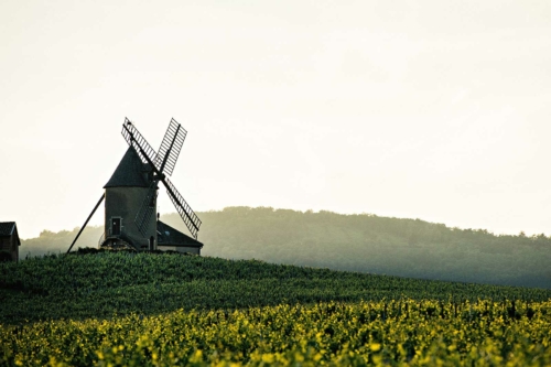 The windmill of the aptly named Moulin-à-Vent, Beaujolais France. ©Franck Joury/Château du Moulin-à-Vent