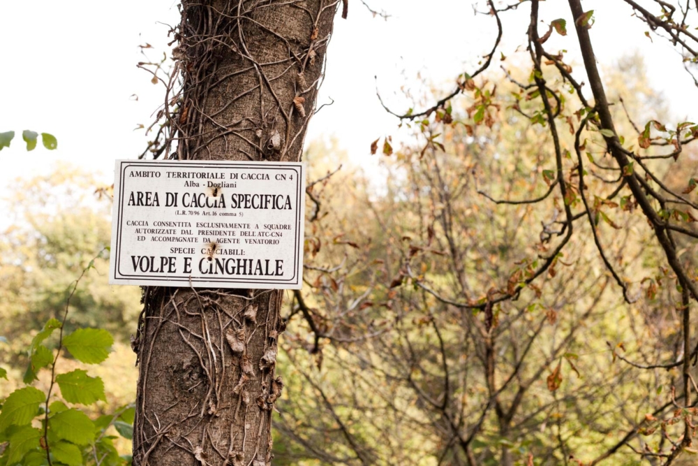 In one of the Langhe's forests, a sign indicates the regulations for hunting boar and wolf, but they are better known for another kind of hunting: for white truffles. ©Kevin Day/Opening a Bottle