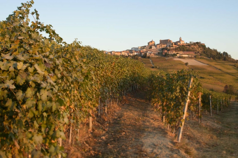 The highest elevation vineyards in the Barolo zone can be found in La Morra. ©Kevin Day/Opening a Bottle