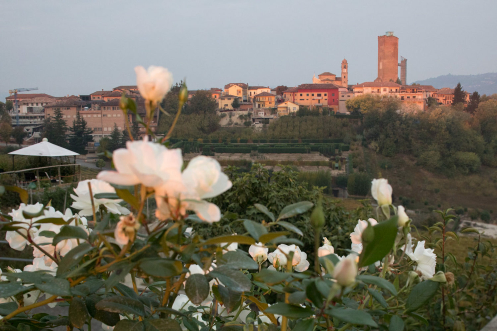 The tower of Barbaresco at sunrise. ©Kevin Day / Opening a Bottle