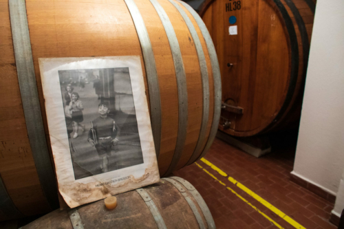 Inside the small spaces of the winery at Fattoria Rodáno. ©Kevin Day/Opening a Bottle