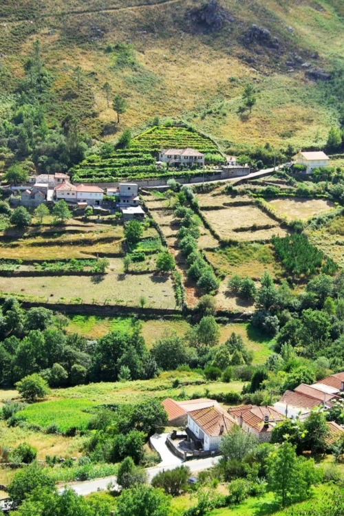 A view over the hillside vineyards of Vinho Verde, Portugal.