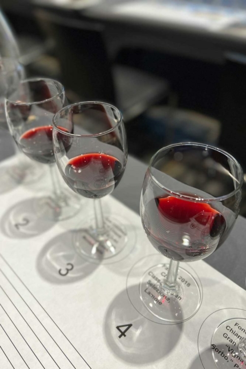 Chianti Classico wines at a tasting