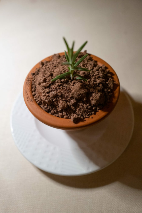 Tiramisu at Ronchi Ro ©Kevin Day/Opening a Bottle