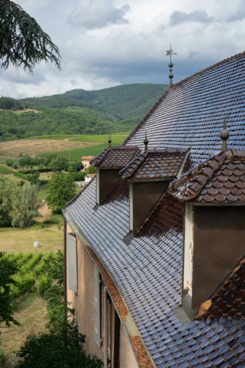 The distinctive ceramic-tile roof of Château Thivin. ©Kevin Day/Opening a Bottle The distinctive ceramic-tile roof of Château Thivin.