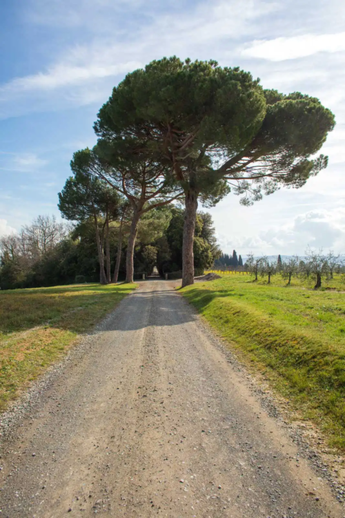 The famous entrance to Biondi-Santi's Tenuta Greppo.